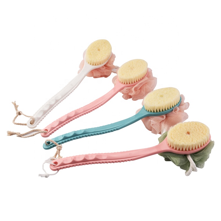 HX5016 Double Side Bath Brush